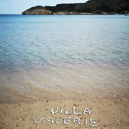 Valerie Bio & Zen *