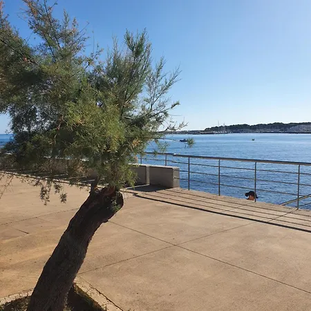 Valerie Bio & Zen Guest house